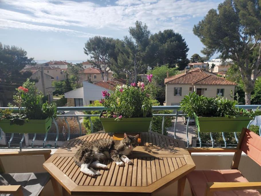 Lou Beach Home 75 M2 A 300 M De La Plage Avec Vue Mer La Ciotat Buitenkant foto